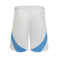 Argentina Home Shorts Copa America 2024