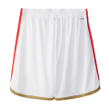 Benfica Home Shorts 2023/24