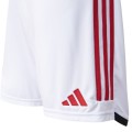 CR Flamengo Home Kit Jersey+Shorts 2023/24