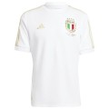 Italy 125th Anniversary Jersey 2023