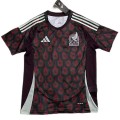 E.&Aacute;LVAREZ #4 Mexico Home Jersey Copa America 2024