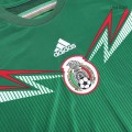 Mexico Home Jersey World Cup 2014