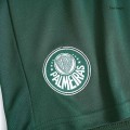 SE Palmeiras Away Shorts Replica 2023/24